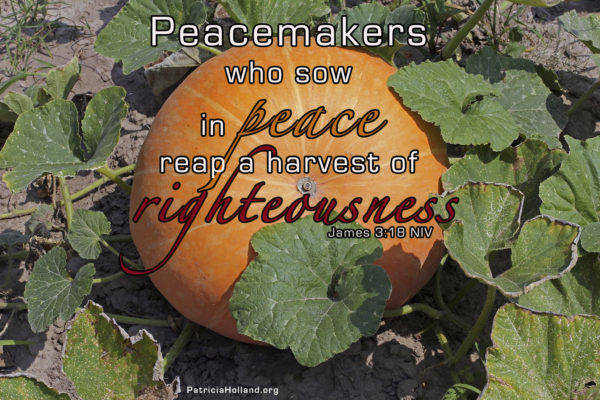 peacemakers who sow in peace reap a harvest of righteousness . James 3:18 NIV