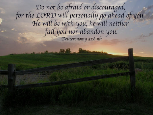 Do not be afraid or discouraged, for the LORD will personally go ahed of you. He will be with you; he will neither fail you nor abandon you. Deuteronomy 31:8 nlt