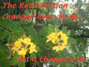 The Resurrection changed everything...let it change you. 