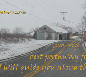 I will guide you along the path that is best for your life. Psa 32:8