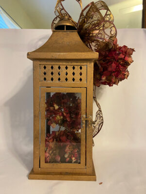 Lantern Dried & Painted Hydrangea