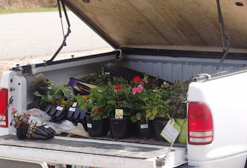 Truck-filled-with-plants