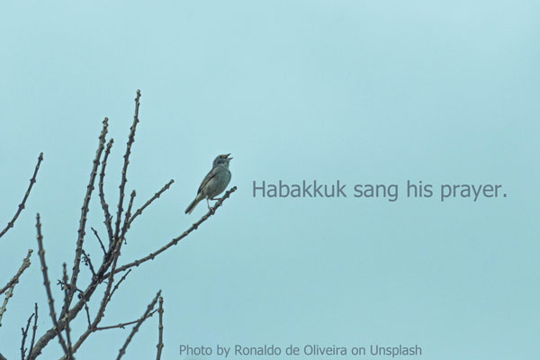 A bird sitting on a tree branch
I will rejoice in the Lord Habakkuk 3:18 Yet I will rejoice in the Lord, I will joy in the God of my salvation.