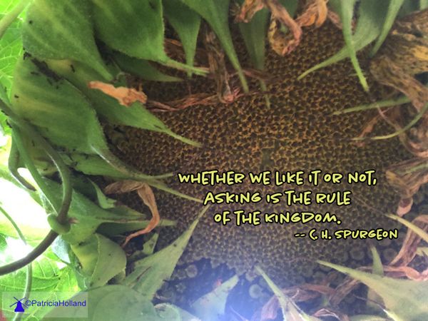 Whether we like it or not, asking is the rule of the Kingdom. -- C. H.