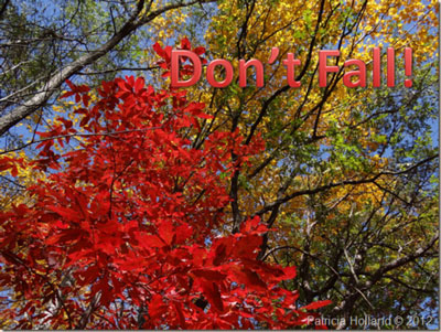 Do not fall.