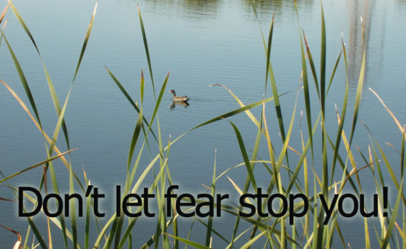 How do you keep from striking out? Do not let the fear of failure stop you from success.
Don't let fear stop you. Renew your mind with God's Word