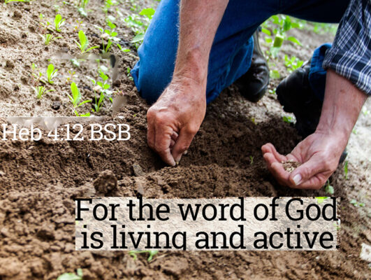 for the word of God is living and active. Hebrews 4 12 Plant God's Word