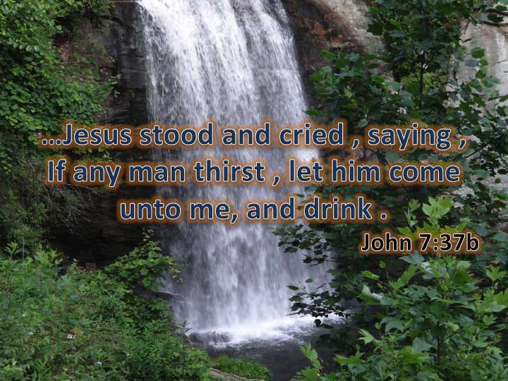 Jesus stood and said in a loud voice, "Let anyone who is thirsty come to me and drink.