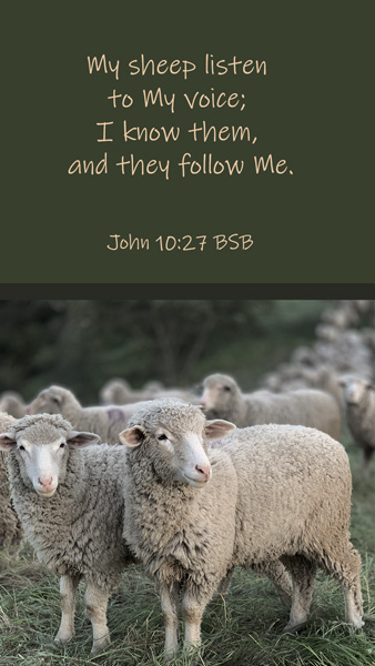 john 10:27 My sheep listen to My voice; I know them, and they follow Me. how do you follow Jesus