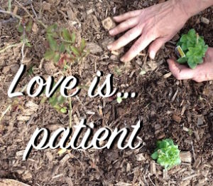 Love is patient.