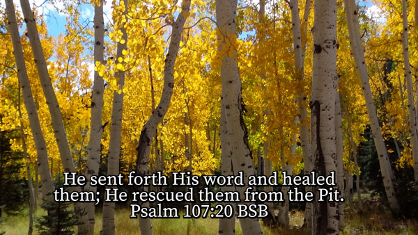 There is Healing in the Name of Jesus Psalm 107:20 He sent forth His word and healed them