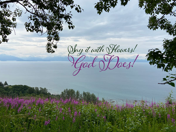 God says I love you with flowers the secret of the fireweed