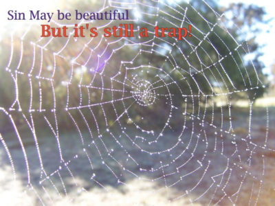 spider_web_sin-may-be-beautiful