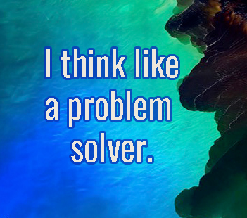 I think like a problem solver