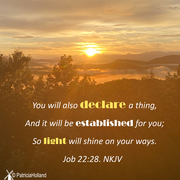 Job 22:28 Your decisions will be carried out, and light will shine